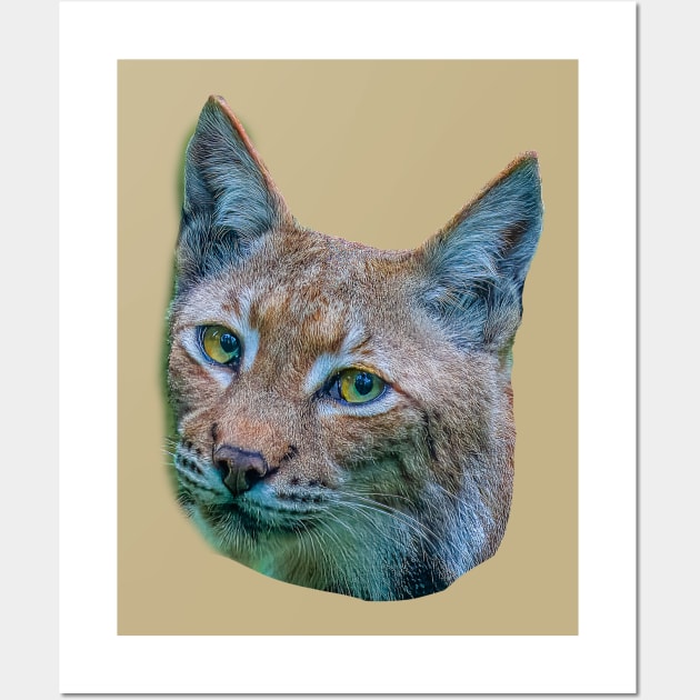 Eurasian Lynx Wall Art by dalyndigaital2@gmail.com